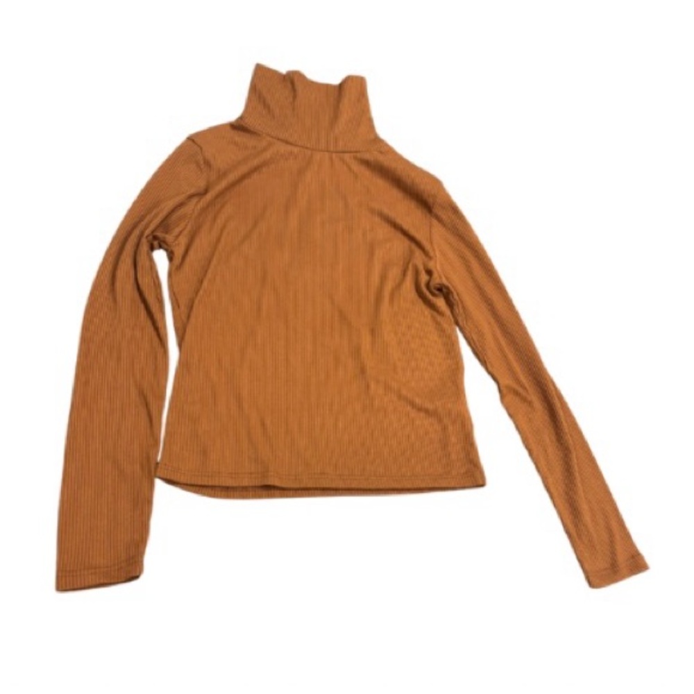 Cropped Turtleneck
